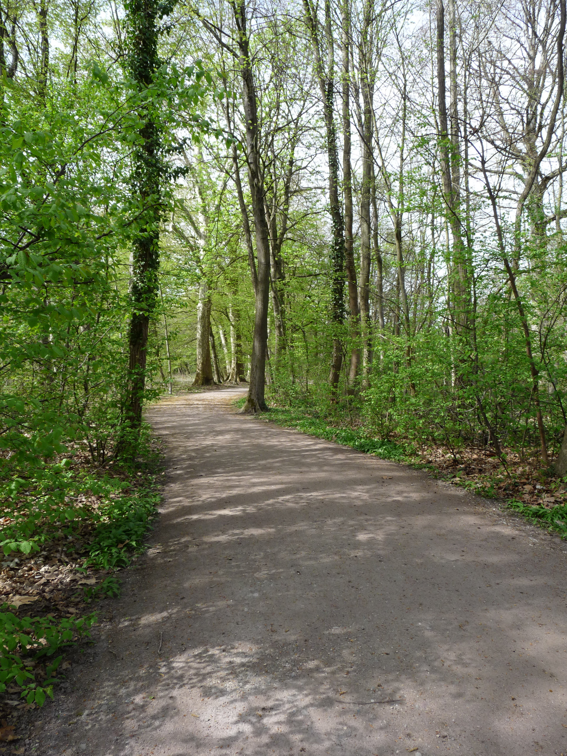 20180414144552 P1110042